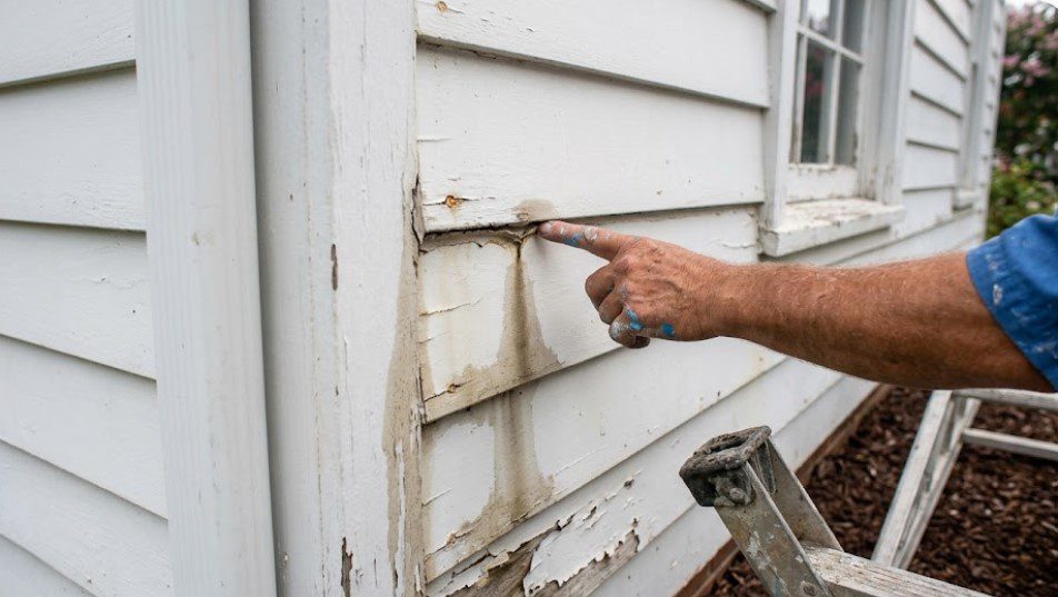 Painter pointing to moisture stain and peeling paint at the corner joint of wood sidingCaption