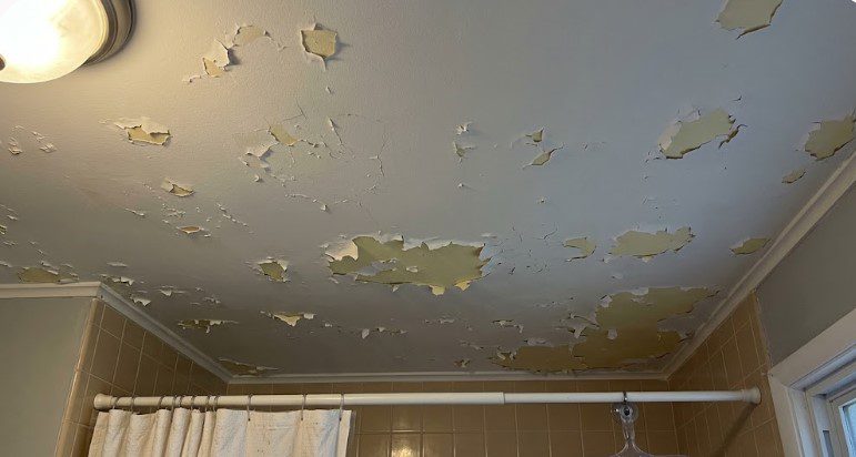Level 2: paint failing across the whole ceiling and peeling back to the bare surface, a sign it never bonded properly.